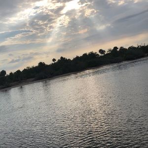 Meet your Posher, Fallon